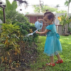 nature activities at home, Prep Montessori International Kindergarten